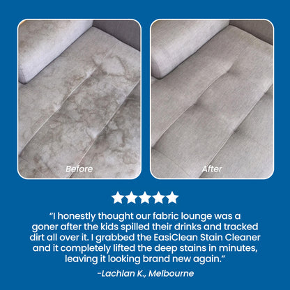 EasiClean™ Premium Stain Cleaner