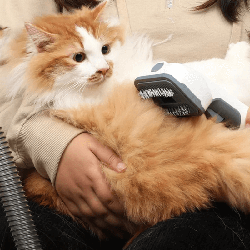 EasiClean™ Premium Pet FurMate
